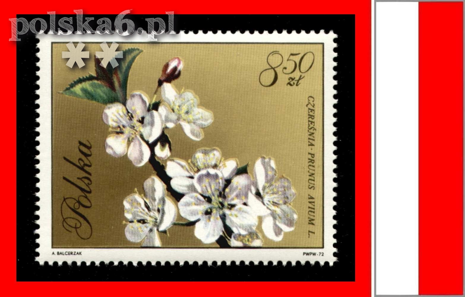 1994