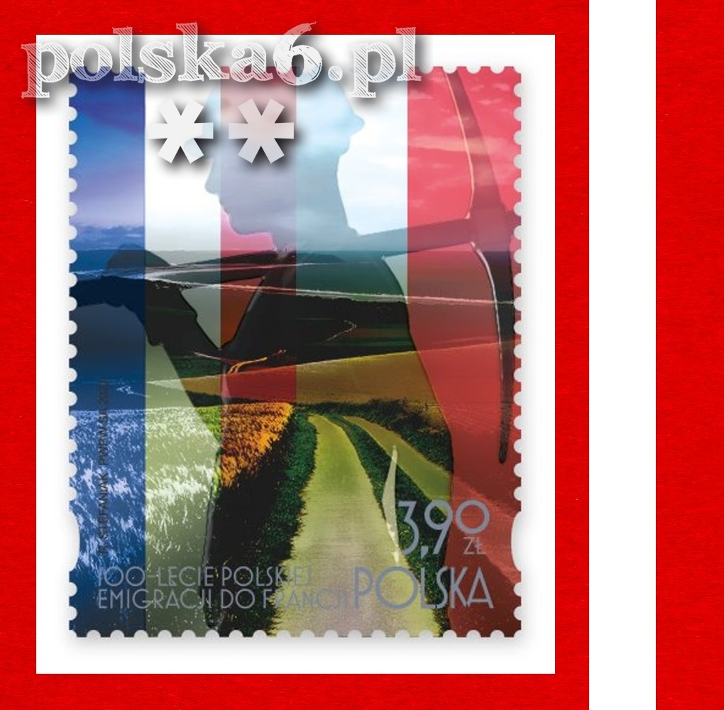 5344 dowolny typ