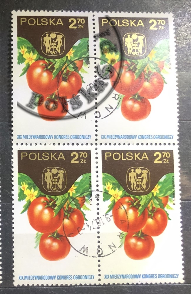 2186 czwórka 2x2