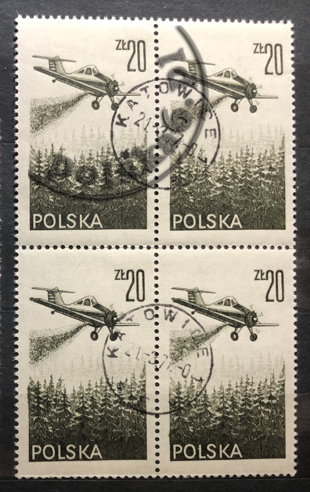 2337 I z lasem w tle czwórka 2x2