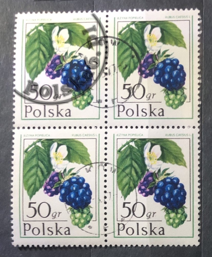 2340 czwórka 2x2