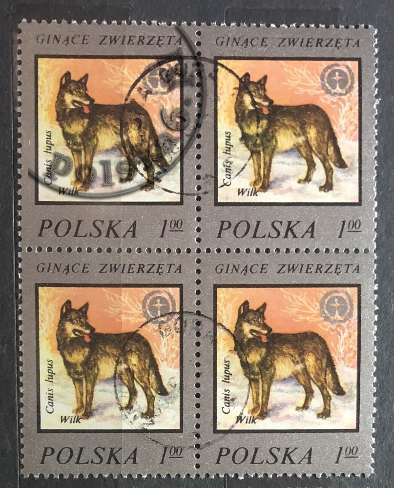 2357 czwórka 2x2
