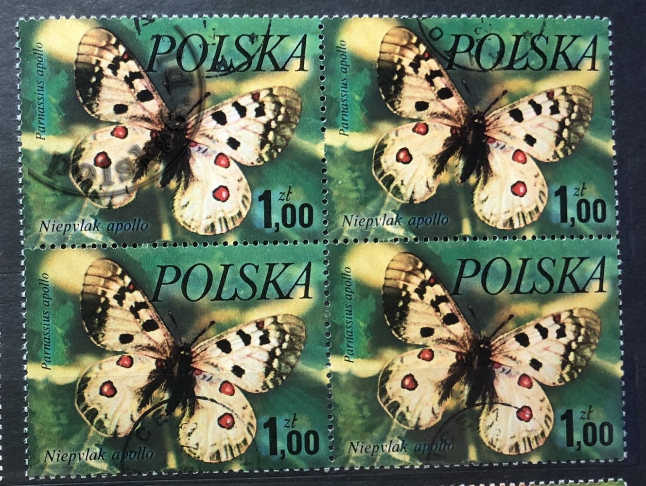 2369 czwórka 2x2