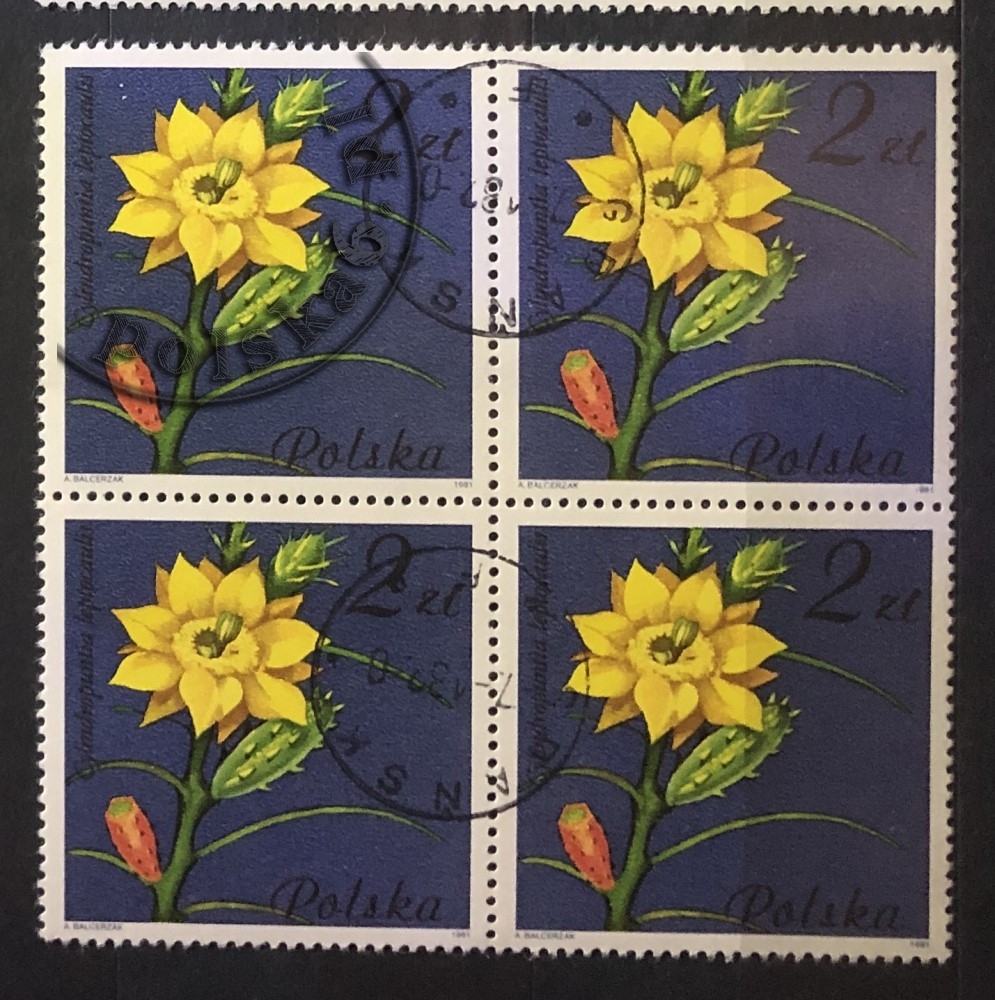 2638 czwórka 2x2