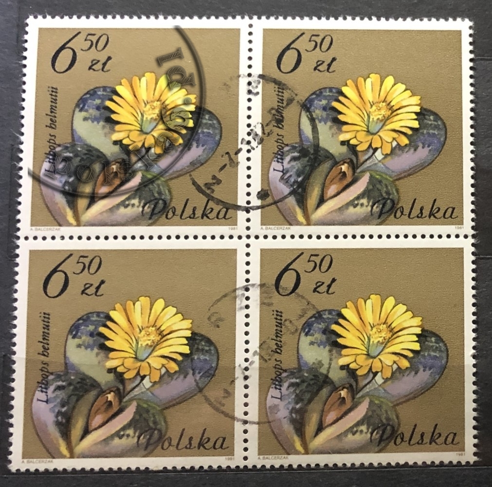 2642 czwórka 2x2