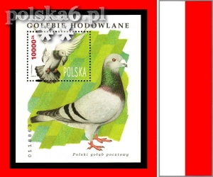 3367 blok 156 (112)