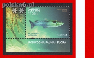 5376 II P LISTWA DOLNA