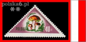 950