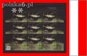 arkusz 4713