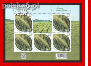 arkusz 5458