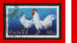 2231