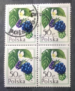 2340 czwórka 2x2