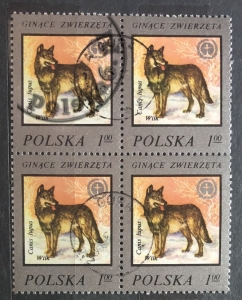 2357 czwórka 2x2
