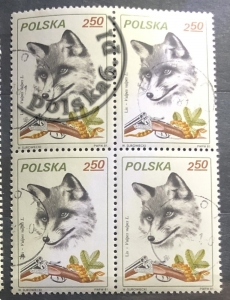 2604 czwórka 2x2