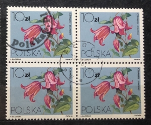 2760 czwórka 2x2